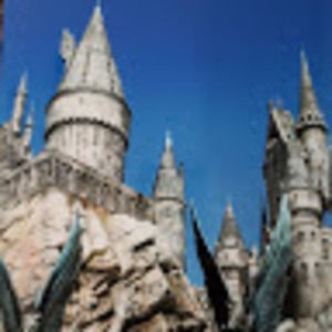 Meet your Posher, Dill